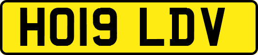 HO19LDV