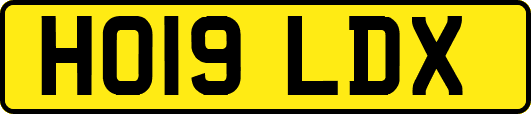 HO19LDX