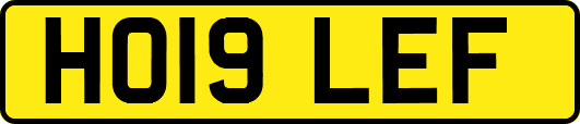 HO19LEF