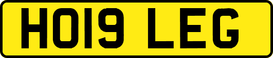 HO19LEG