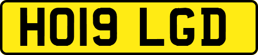 HO19LGD