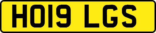 HO19LGS