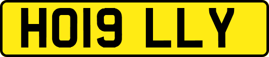 HO19LLY