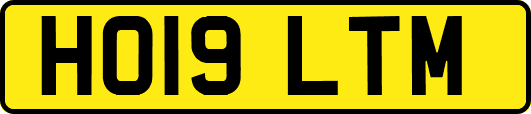 HO19LTM