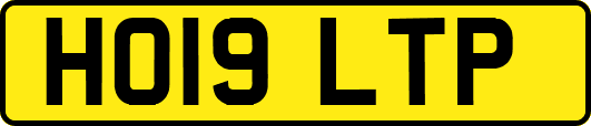 HO19LTP