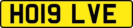 HO19LVE