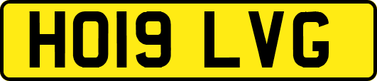 HO19LVG