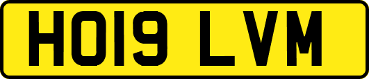 HO19LVM