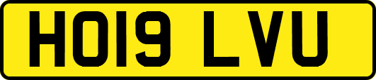 HO19LVU