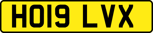 HO19LVX