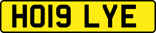 HO19LYE