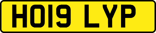 HO19LYP