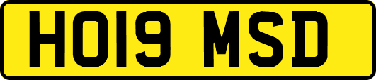 HO19MSD