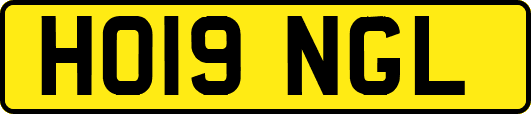 HO19NGL