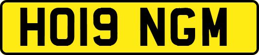 HO19NGM