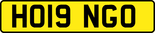 HO19NGO