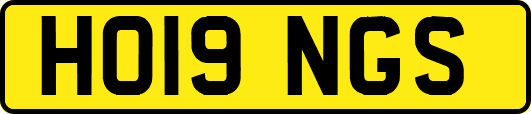 HO19NGS