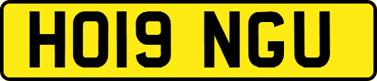 HO19NGU