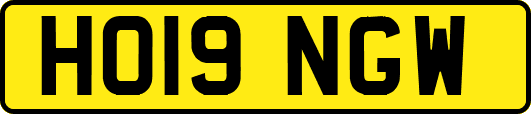 HO19NGW