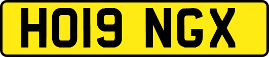 HO19NGX