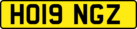 HO19NGZ