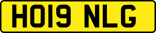 HO19NLG