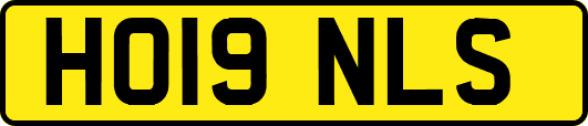 HO19NLS