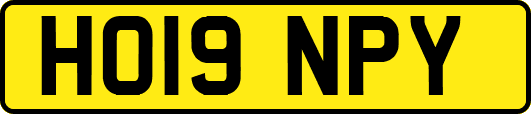 HO19NPY