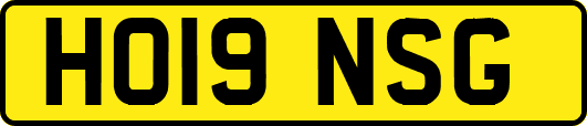 HO19NSG