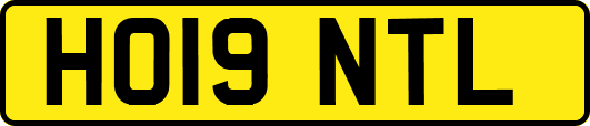 HO19NTL