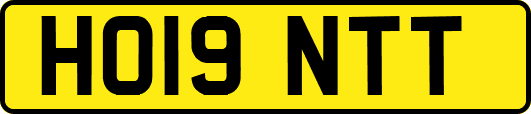 HO19NTT