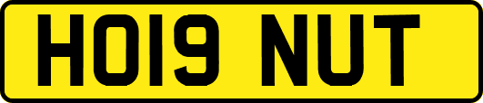 HO19NUT