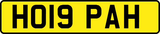 HO19PAH