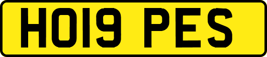 HO19PES