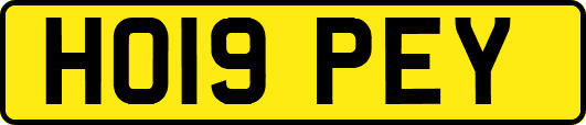 HO19PEY