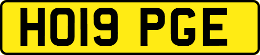 HO19PGE