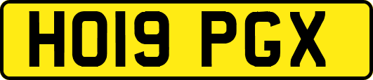 HO19PGX