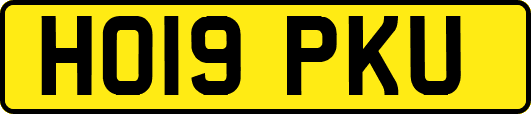 HO19PKU