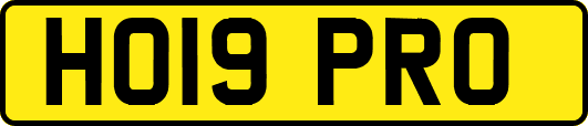 HO19PRO