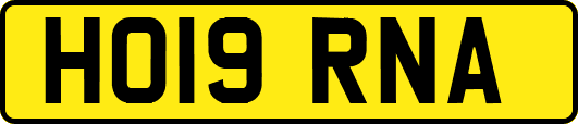 HO19RNA