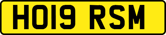 HO19RSM