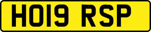 HO19RSP