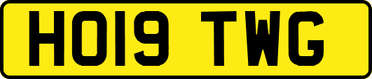 HO19TWG