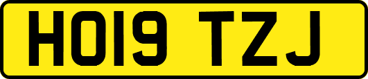 HO19TZJ