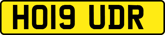 HO19UDR