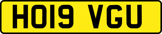 HO19VGU