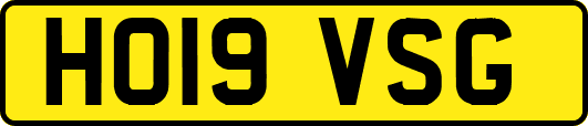 HO19VSG