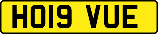 HO19VUE