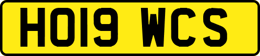 HO19WCS