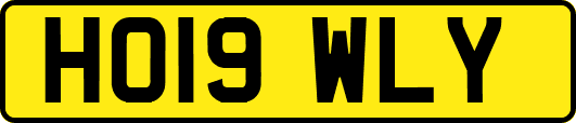 HO19WLY